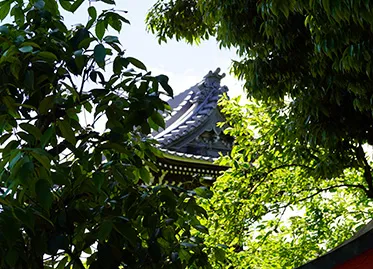 屋根