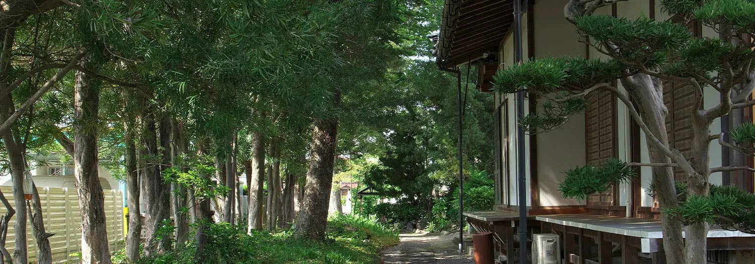 お墓への道